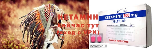 сатива Инсар