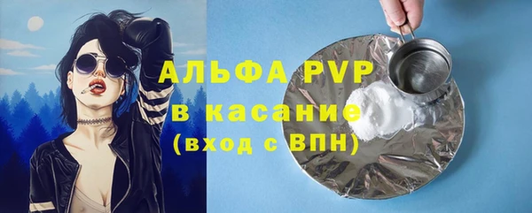 молекула духа Михайлов