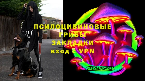 тгк Михайловка