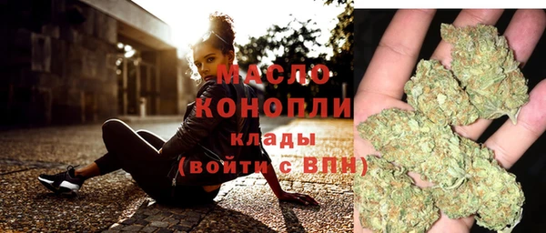 дмт Инта