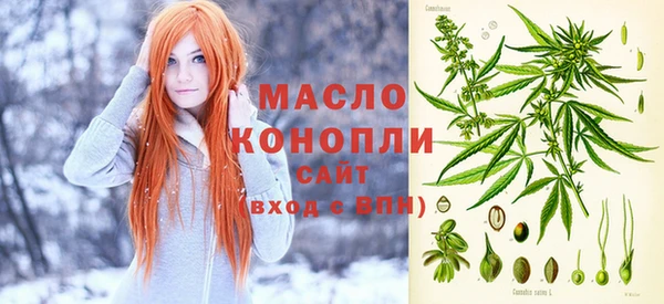 молекула духа Михайлов