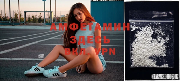 молекула духа Михайлов