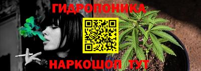 шишки Волгодонск