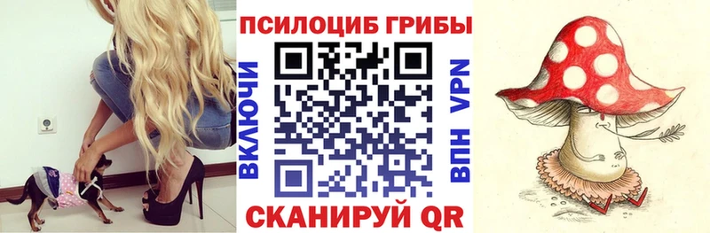 Псилоцибиновые грибы MAGIC MUSHROOMS  МЕГА как войти  Зеленогорск 