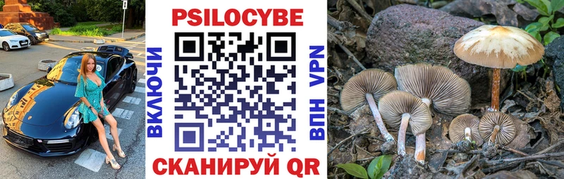 Галлюциногенные грибы Magic Shrooms Зеленогорск