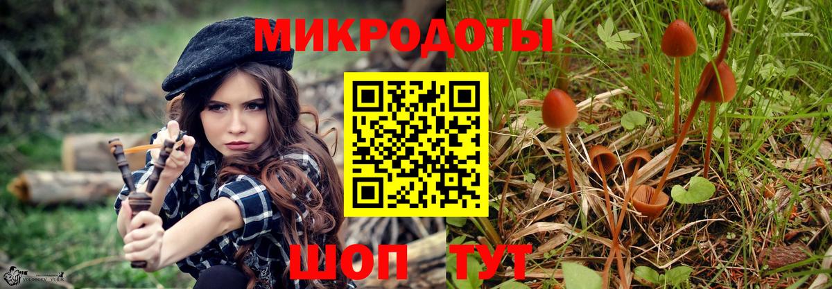 Псилоцибиновые грибы Cubensis  Вход с VPN  Зеленогорск 