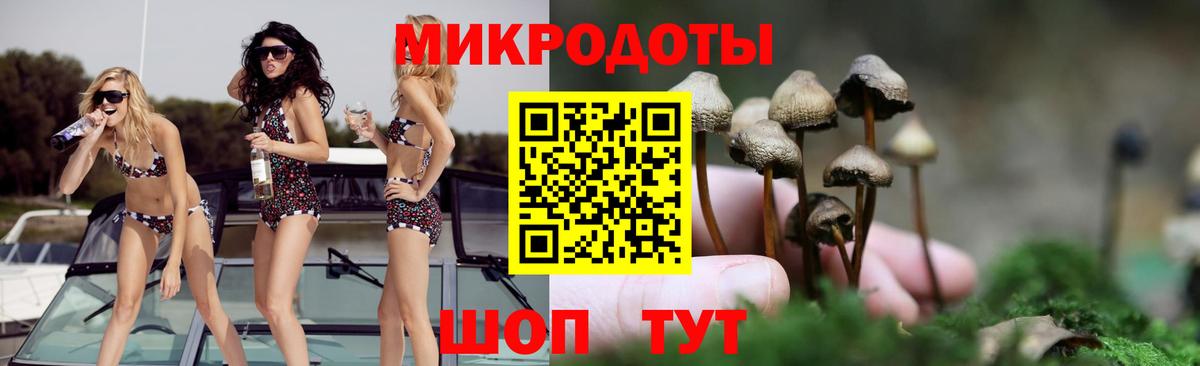 Псилоцибиновые грибы мухоморы Зеленогорск